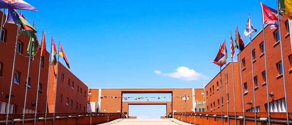 Classifica di Shanghai, Unical ai vertici in Italia per \"Computer Science and Engineering\"