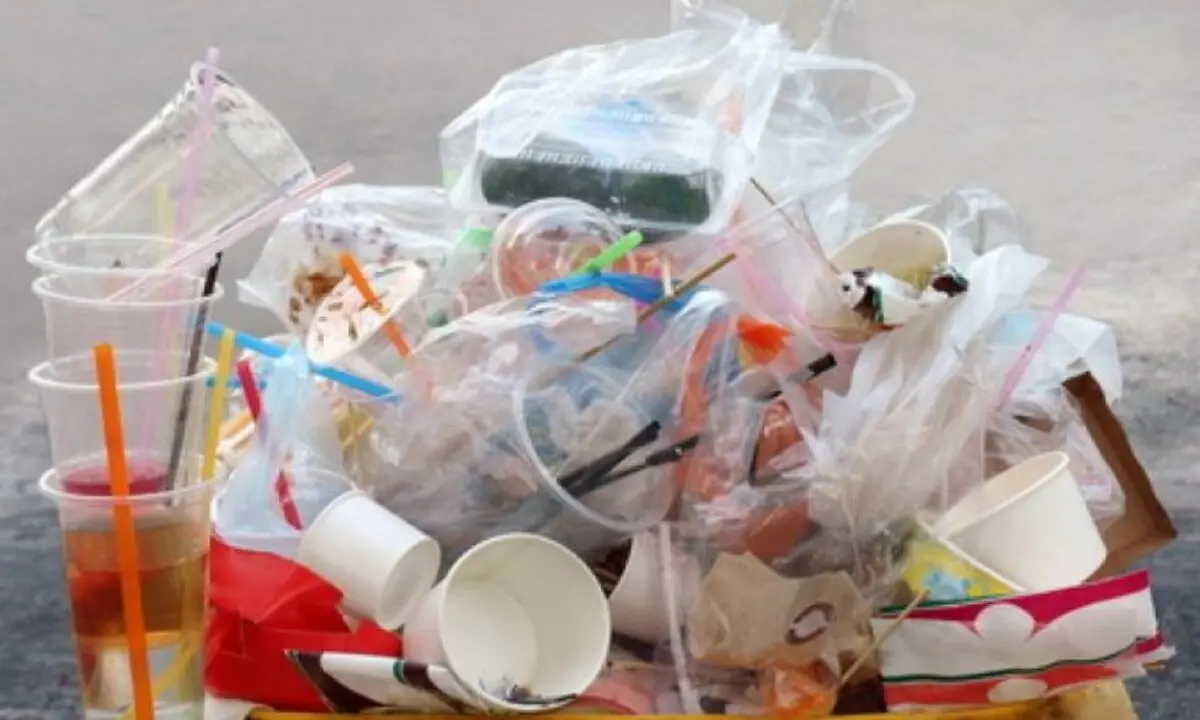 Cariati, raccolta di coperchi sulla spiaggia per il Day Plastic Free