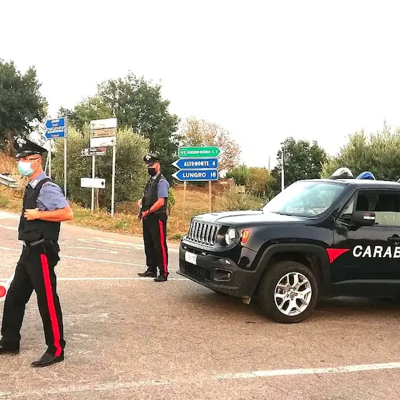 Altomonte, coltiva piante di marijuana. I carabinieri arrestano un 40enne