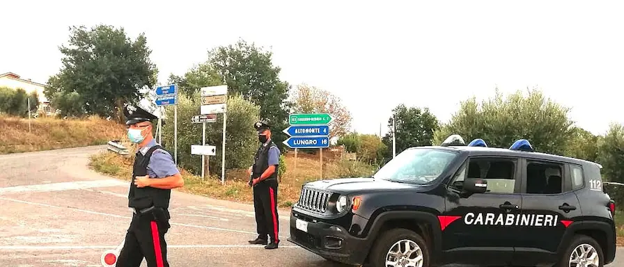 Altomonte, coltiva piante di marijuana. I carabinieri arrestano un 40enne