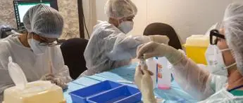 Green pass obbligatorio, aumento prenotazioni vaccino