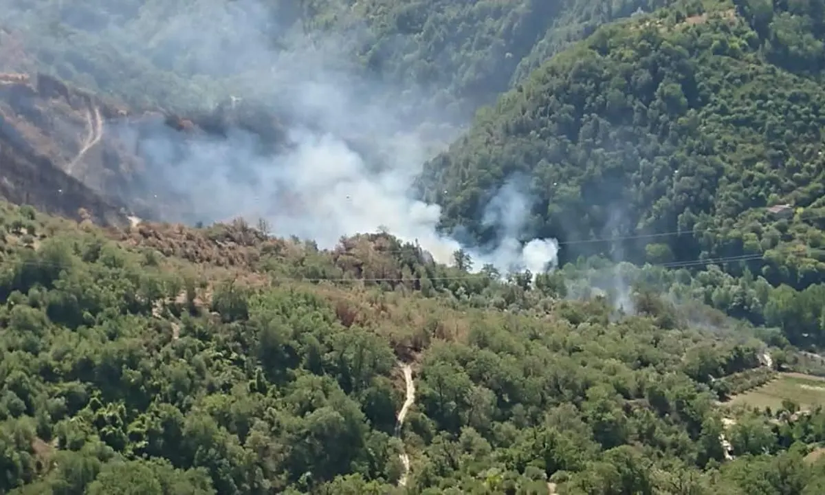 Acri, divampa un incendio nel suo terreno: morto 56enne