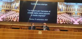 Caputo (Federconfidi): \"Con risorse Pnrr istituire fondo gestito da Confidi per accesso al credito mPmi\"