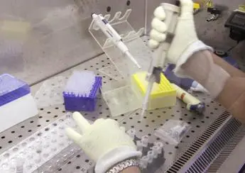 'Neuroscienze laboratorio della sanità futura', esperti a confronto