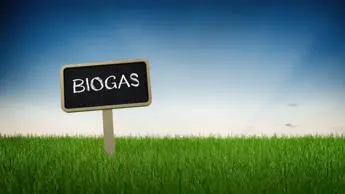 Biogas Italy 2021, le prospettive in Europa
