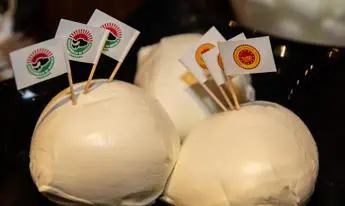 Colto e gourmand ecco l'identikit del consumatore di Mozzarella di bufala Dop