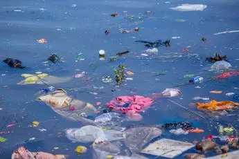Clima, Blockchain sostenibile contro l'abuso di plastica