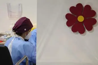 Vaccini Regione Lazio, D'Amato: \"87% adulti con doppia dose\"