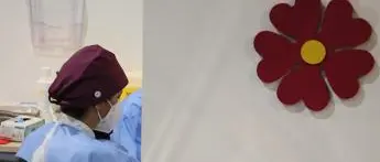 Vaccini Regione Lazio, D'Amato: \"87% adulti con doppia dose\"