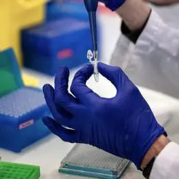 Covid, Pfizer studia farmaco per prevenire malattia in famiglia