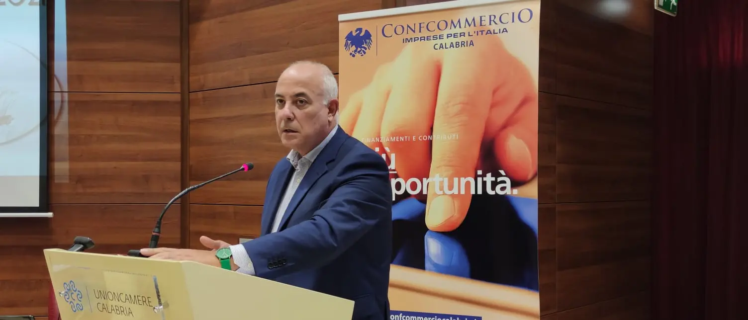 Algieri: «Il Pnrr può trasformarsi in punto di forza per la Calabria»