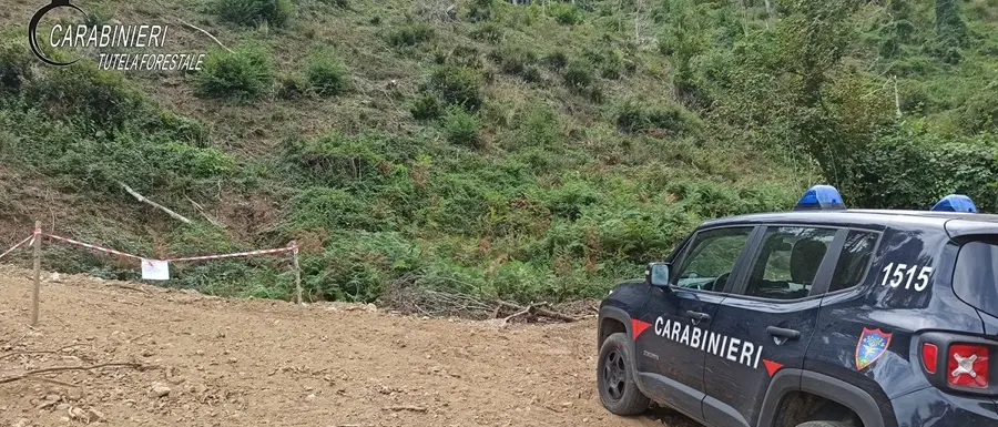 San Fili, sequestrata pista abusiva realizzata per l’esbosco