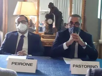 Peirone (Ist. Friedman): \"Il gioco è un'attività economica come altre, servono contributi\"
