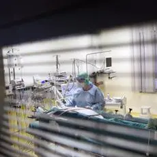 Covid, antivirale molnupiravir dimezza ricoveri e morte: verso richiesta autorizzazione