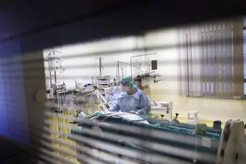 Covid, antivirale molnupiravir dimezza ricoveri e morte: verso richiesta autorizzazione