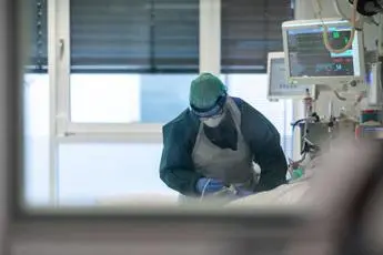 Pillola anti covid, Bassetti: \"Sarà prima cura a casa per fasi precoci\"
