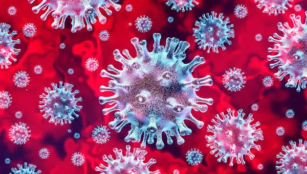 Covid Calabria, 143 contagi e 1 decesso nel bollettino del 10 novembre