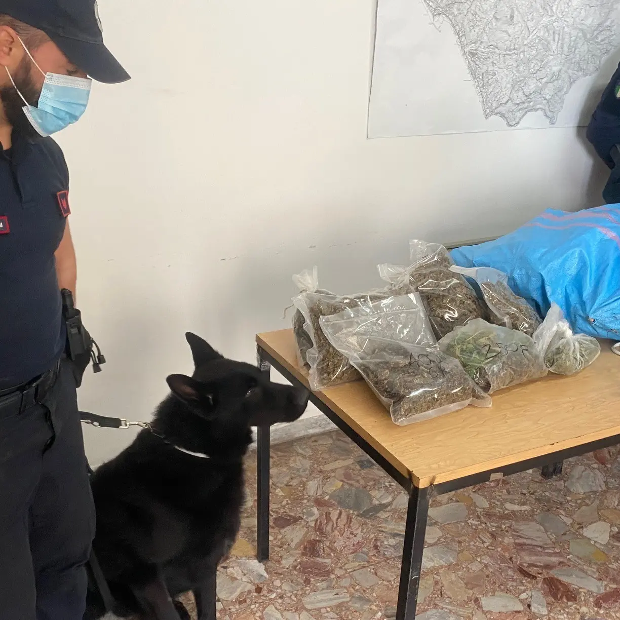 Cetraro, i carabinieri trovano 11 chili di droga: arrestate due persone