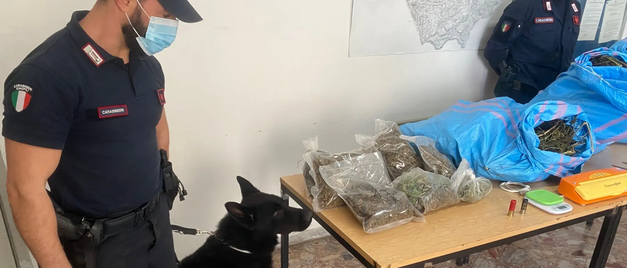 Cetraro, i carabinieri trovano 11 chili di droga: arrestate due persone