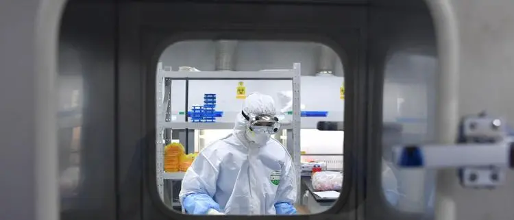 Origine Covid, Dg Oms: \"Laboratorio? Non è escluso\"