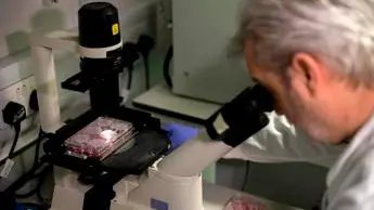 Covid, Pregliasco: \"Nato in laboratorio? Plausibile ma impossibile saperlo\"
