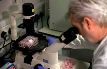 Covid, Pregliasco: \"Nato in laboratorio? Plausibile ma impossibile saperlo\"