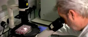 Covid, Pregliasco: \"Nato in laboratorio? Plausibile ma impossibile saperlo\"