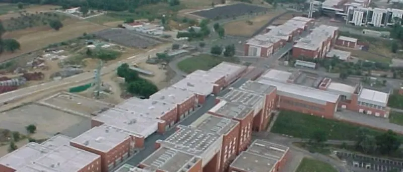 Unical, il rettore: «Sviluppata app per controllo automatico del green pass»