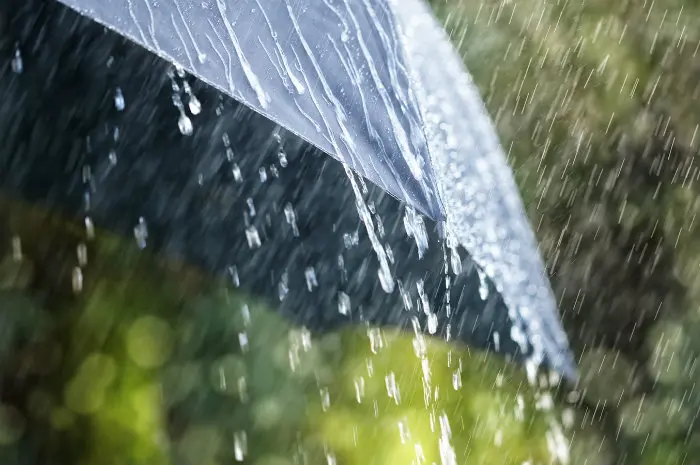 Sole fino a domani, da giovedì 21 ottobre arriva la pioggia