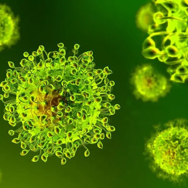 Covid Calabria, oggi si registrano 143 contagi e un decesso