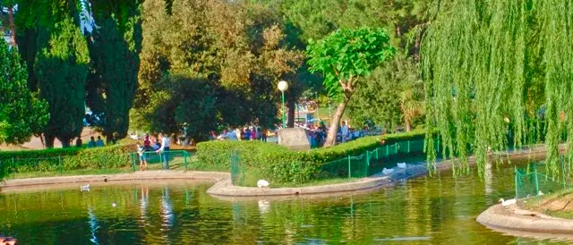 Federazione Riformista Rende: \"I fondi europei per il Parco Robinson sono impiegati male\"