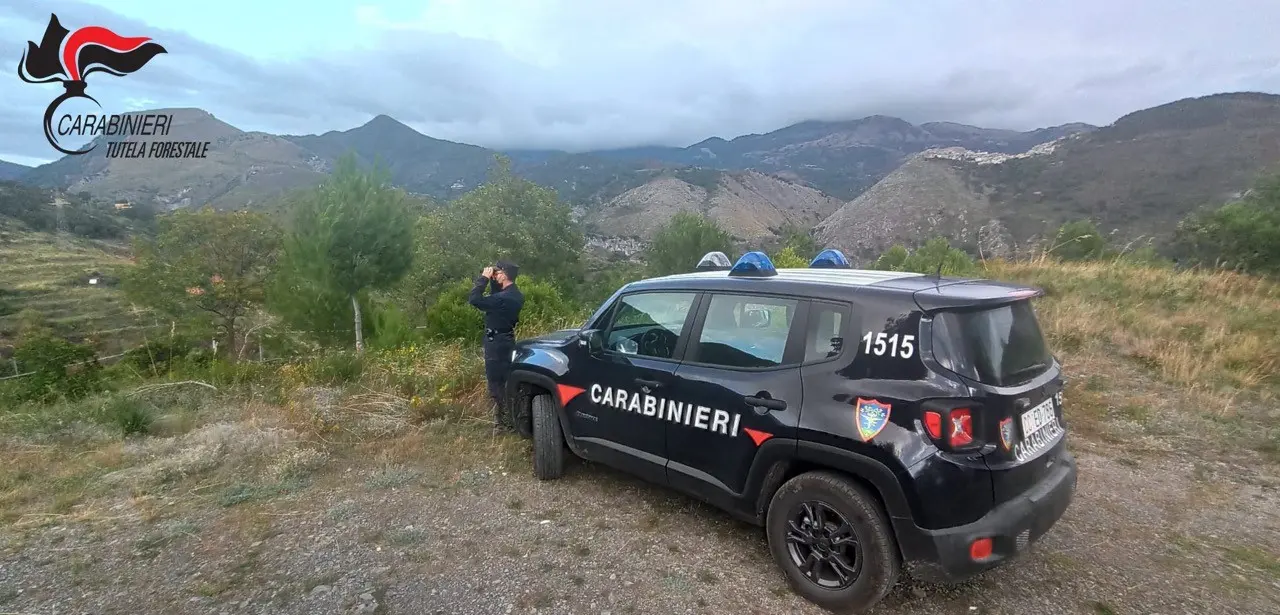 Aieta, fabbricato costruito senza permessi e autorizzazioni: sequestrato