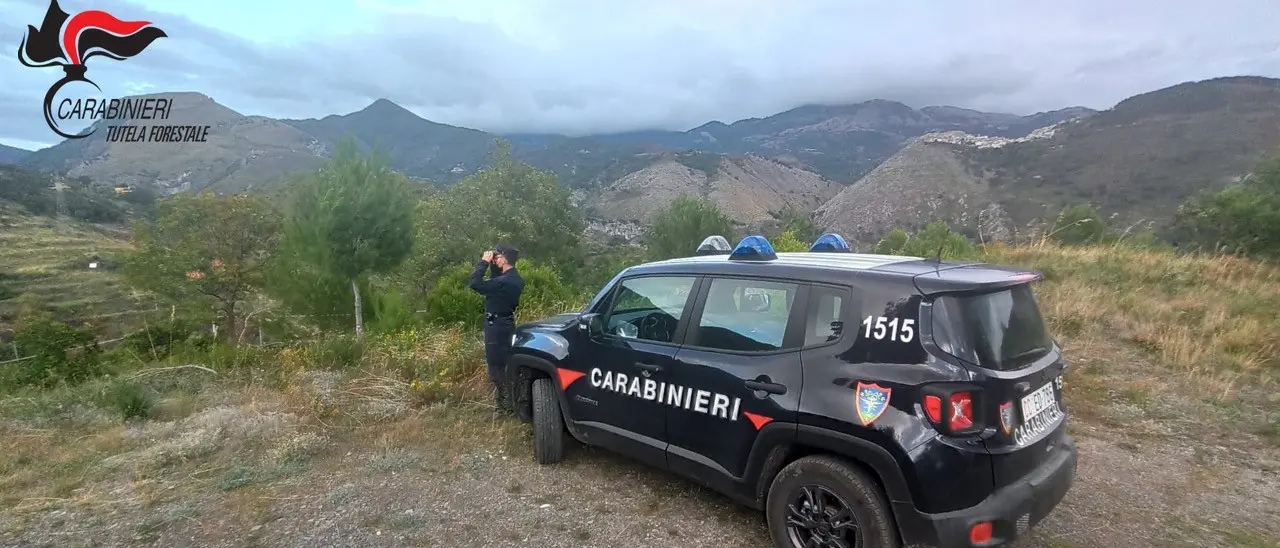 Aieta, fabbricato costruito senza permessi e autorizzazioni: sequestrato