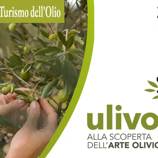 Ulivo day: in Calabria turismo esperienziale e valorizzazione del territorio