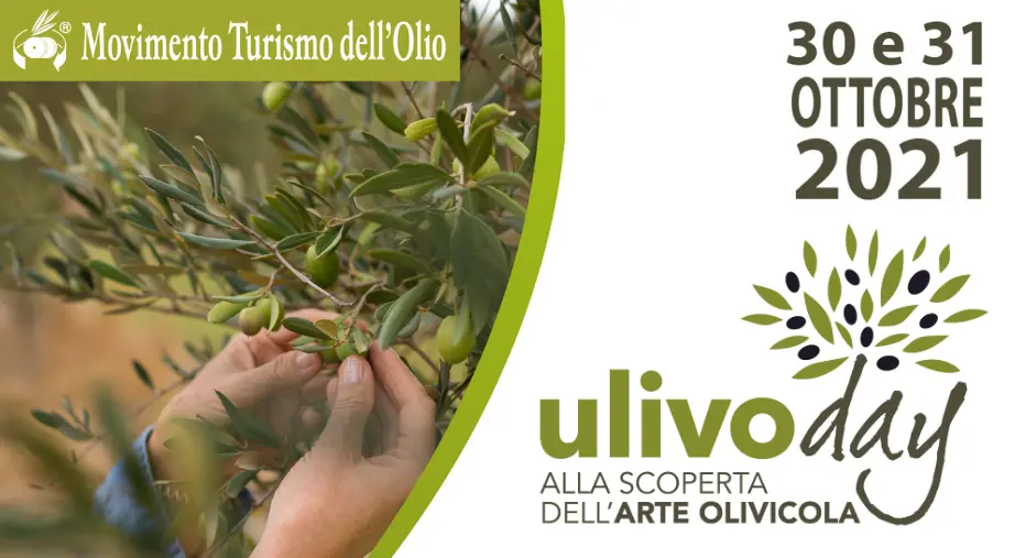 Ulivo day: in Calabria turismo esperienziale e valorizzazione del territorio
