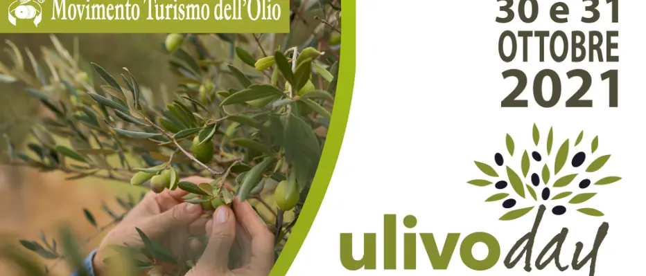 Ulivo day: in Calabria turismo esperienziale e valorizzazione del territorio
