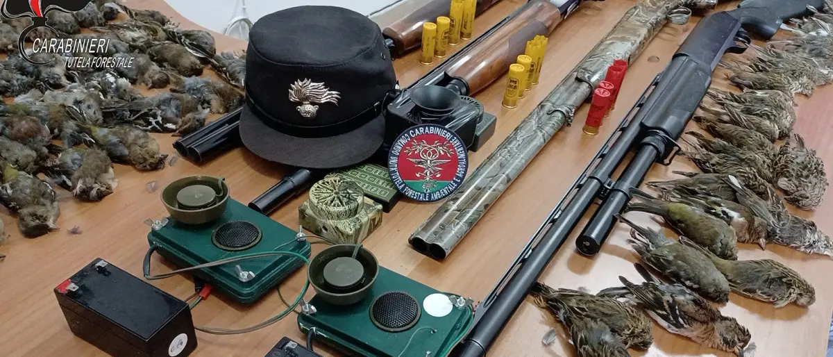Terranova da Sibari, due uomini cacciavano avifauna protetta