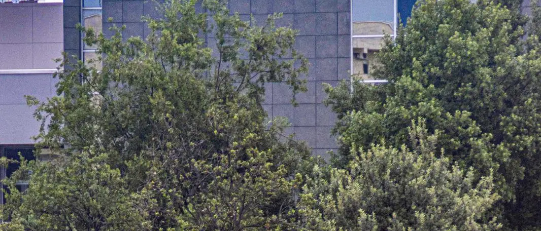 Rende, lunedì la presentazione della Consulta per le Pari Opportunità e i Diritti Umani