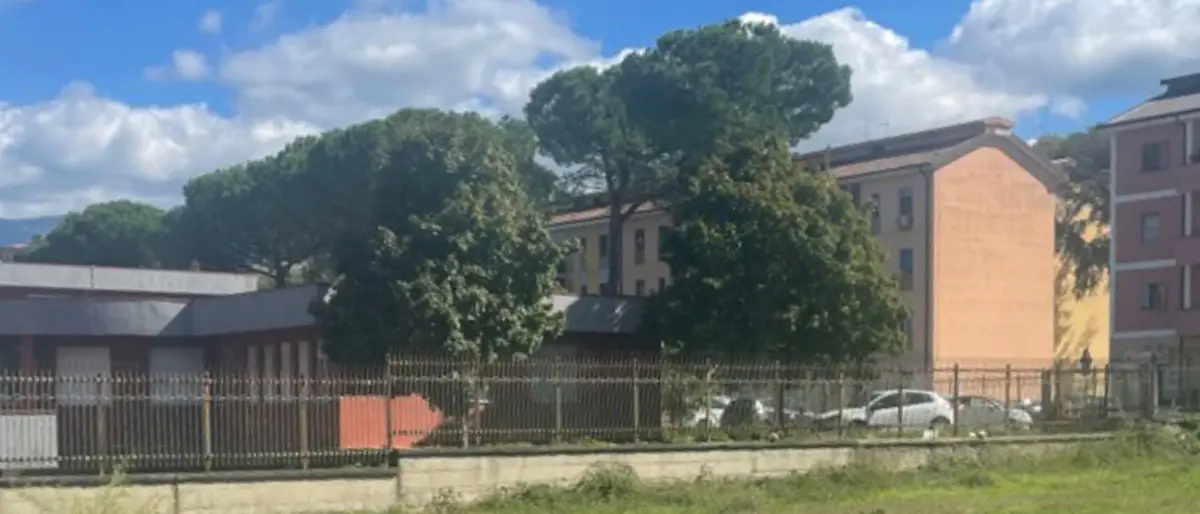 Cosenza e \"Fattore Campo\", rossoblù quinti nella classifica della Lega di Serie B