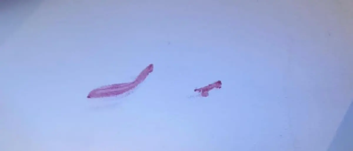 Corigliano Rossano, rissa in un locale di Schiavonea: una persona finisce in ospedale