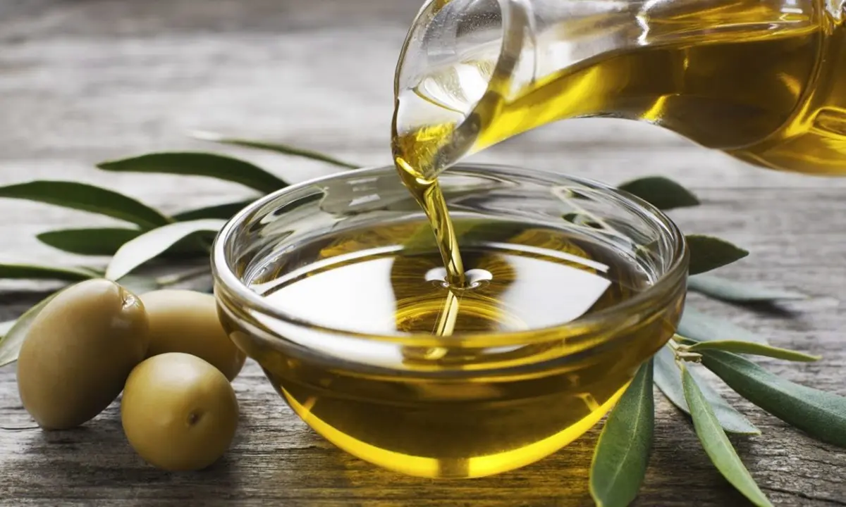 Grandi protagonisti cosentini nella Guida agli extravergini Slow Food 2025