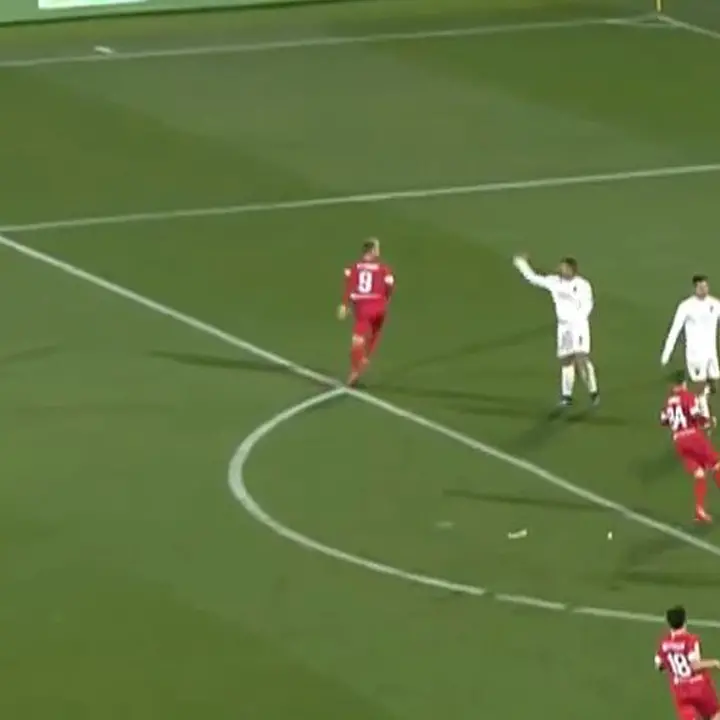 Cosenza, l' emblematico gol di Gytkjaer: Rigione si infuria con Anderson
