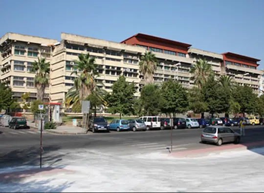 Incatena e lega il fratello minore, il padre in aula: «A pranzo era tutto tranquillo»