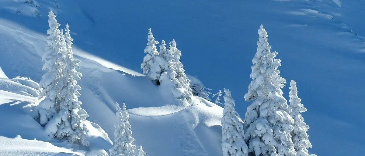 Scontro tra due sciatori in Alto Adige: muore un uomo di 37 anni