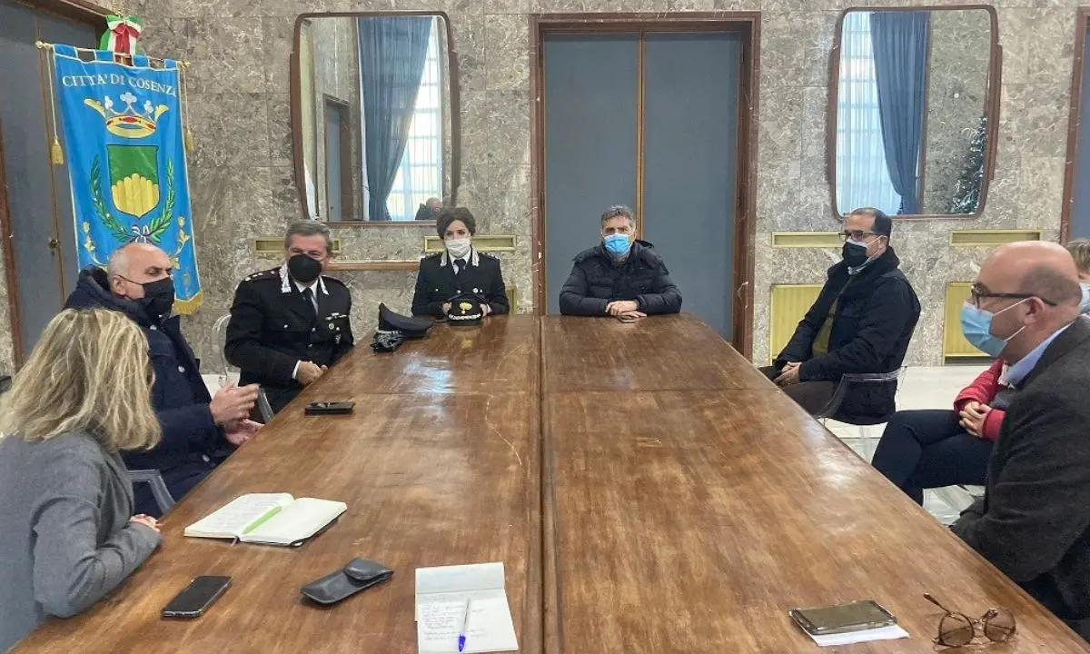 Cosenza entrerà presto a far parte del progetto \"Un albero per il futuro\"