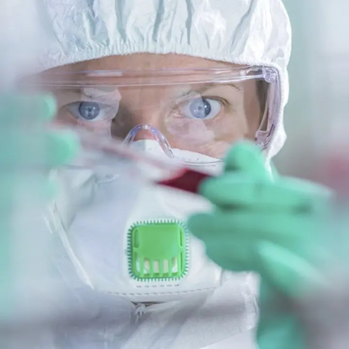 Caos vaccini e tamponi, il sindaco di Verbicaro invoca l'esercito