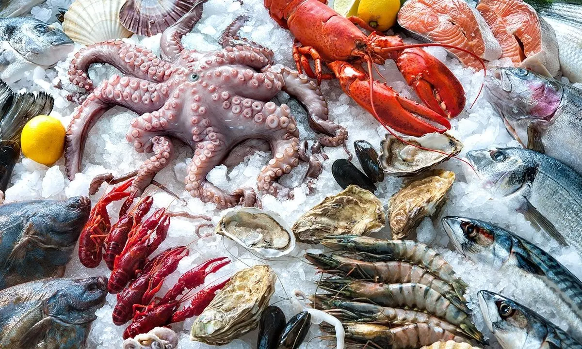 Vigilia di Natale, prezzi pazzi per il cenone a base di pesce. Vongole anche a 23 euro al chilo