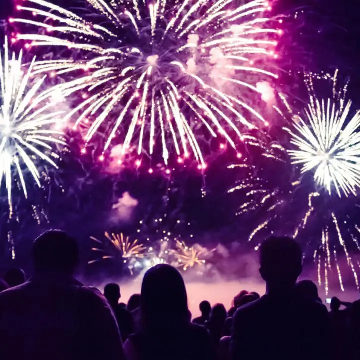 Capodanno Cosenza: vietati fuochi d'artificio, botti e petardi