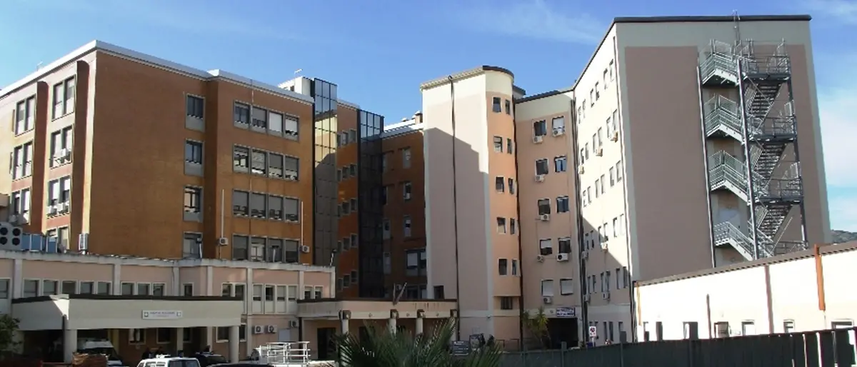 Topi in ospedale, chiuso il reparto di Pediatria del \"Compagna\" di Corigliano