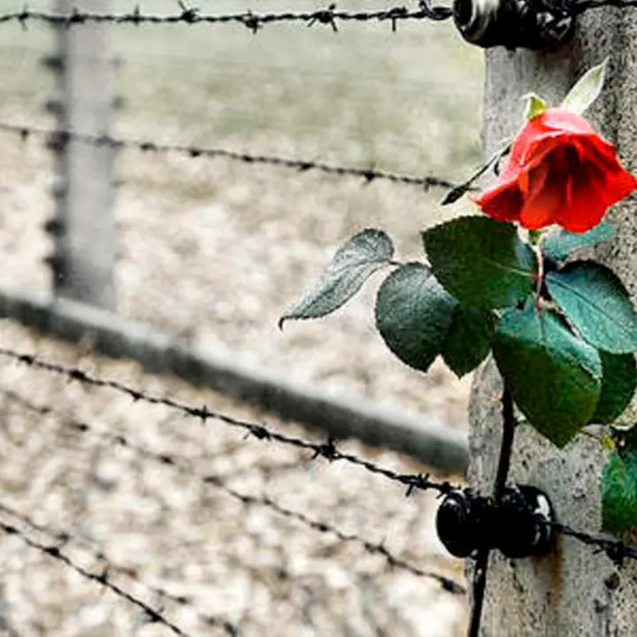 Giornata della Memoria, studenti di Diamante a Roma nei luoghi simbolo della barbarie nazifascista